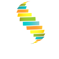 Chiropratique Notre-Dame